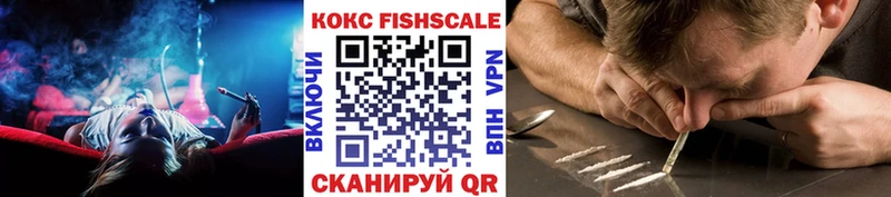 kraken зеркало  Чехов  Cocaine Fish Scale 