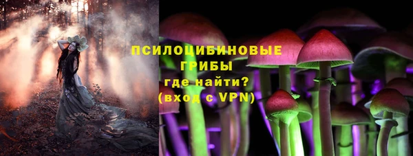 стаф Белоозёрский