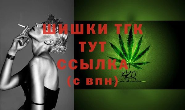 стаф Белоозёрский