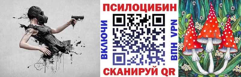 хочу наркоту  Чехов  Псилоцибиновые грибы ЛСД 