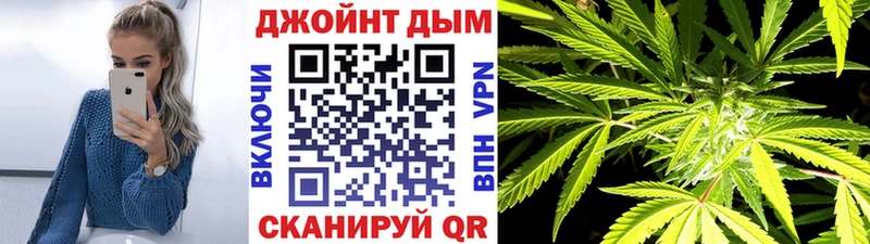 как найти наркотики  Чехов  мега как войти  Марихуана THC 21% 
